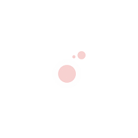 The Bubblegum Co