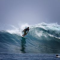 Tim Budong