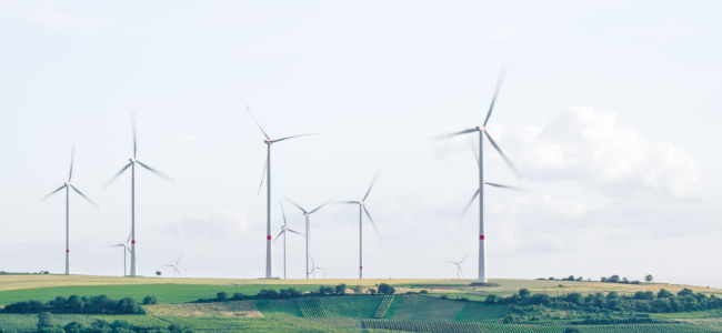 wind farm