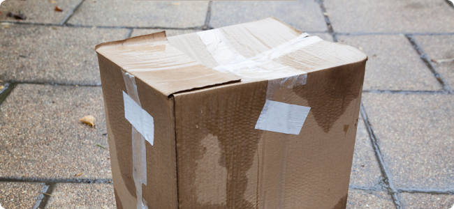 Wet cardboard