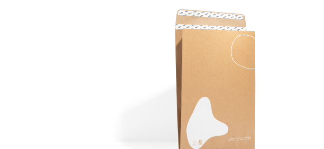 Printed paper mailing bag