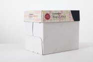 Steinbeis Vision Magic Colour Paper - A4 Salmon 80gsm