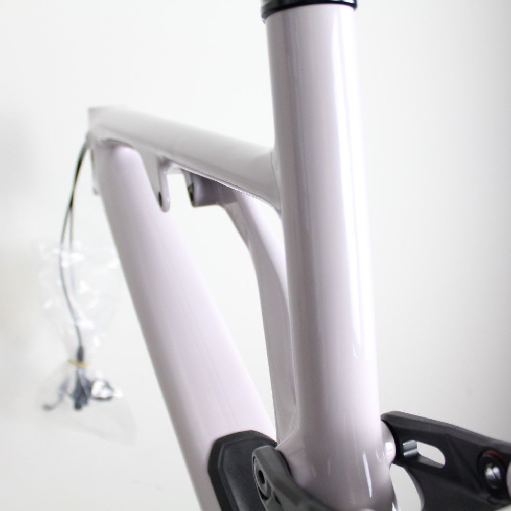 stumpjumper evo 2021 frame