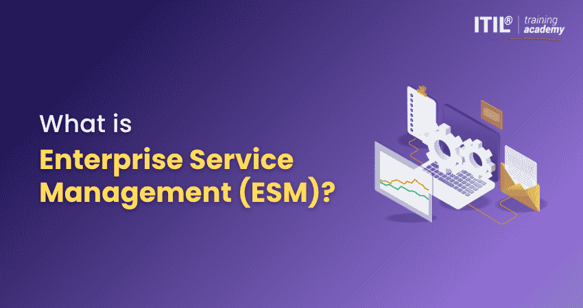 What is Enterprise Service Management (ESM)