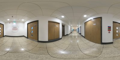 Chemical and Process Engineering