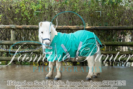 Swish - December 2025