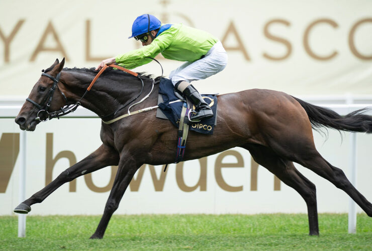 Subjectivist Royal Ascot 72dpi