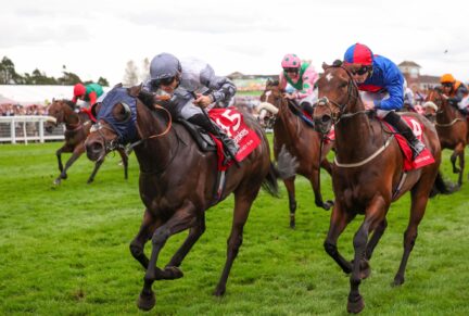 <p>RUN BOY RUN, winner of over £253,000 and 5 races including the 2025 Ayr Gold Cup </p>
