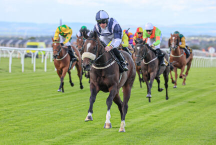 <p>ISLE OF FERNANDEZ winning a 6f Novice at Carlisle on 9/9/2025. On her next start she ran 3rd in <strong>Gr.3</strong> Firth of Clyde Stakes</p>