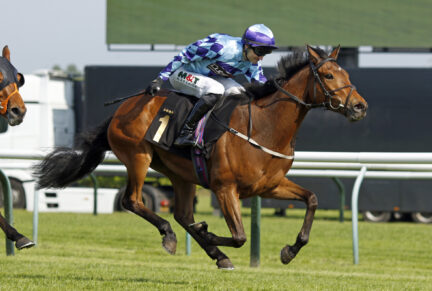 <p>SPIORADALTA, now the winner of 8 races, winning over 1m at Nottingham</p>