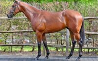 lot236sideon.jpg