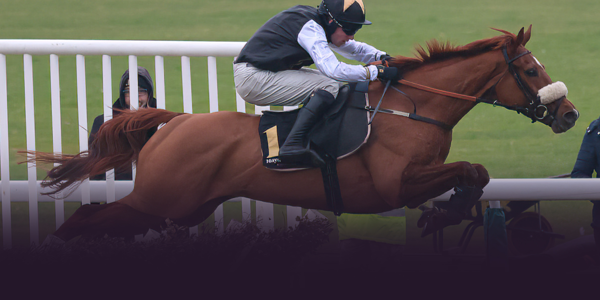 Our 40, 100 & 500 share syndicates