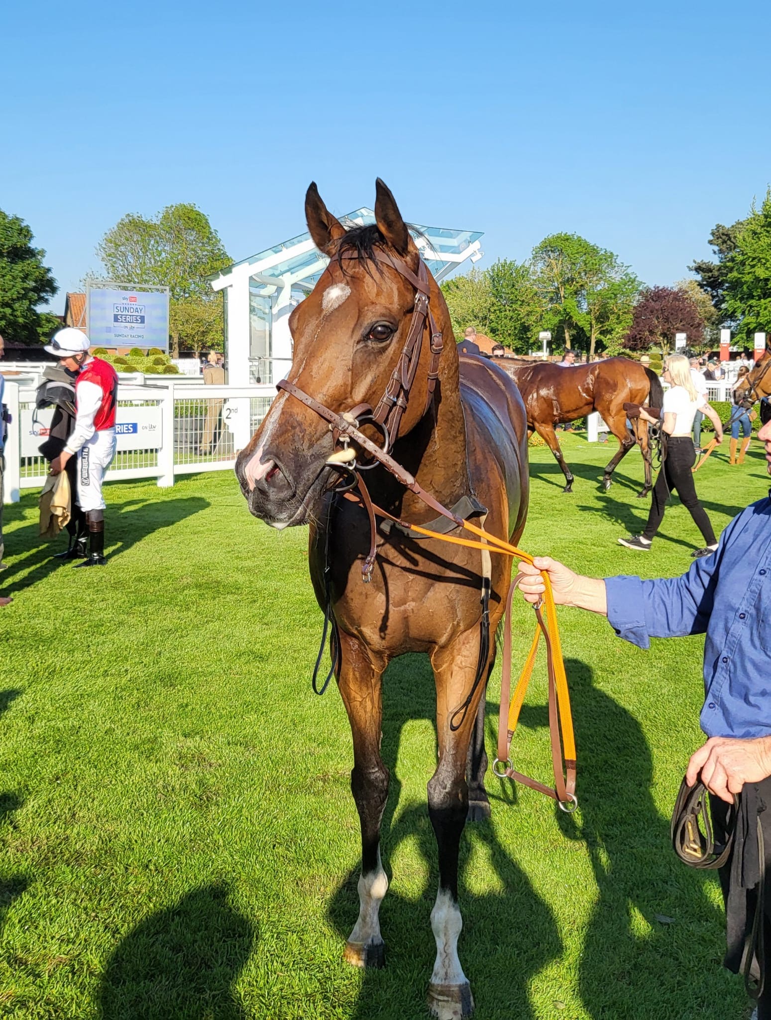 A bright start for Lir Speciale