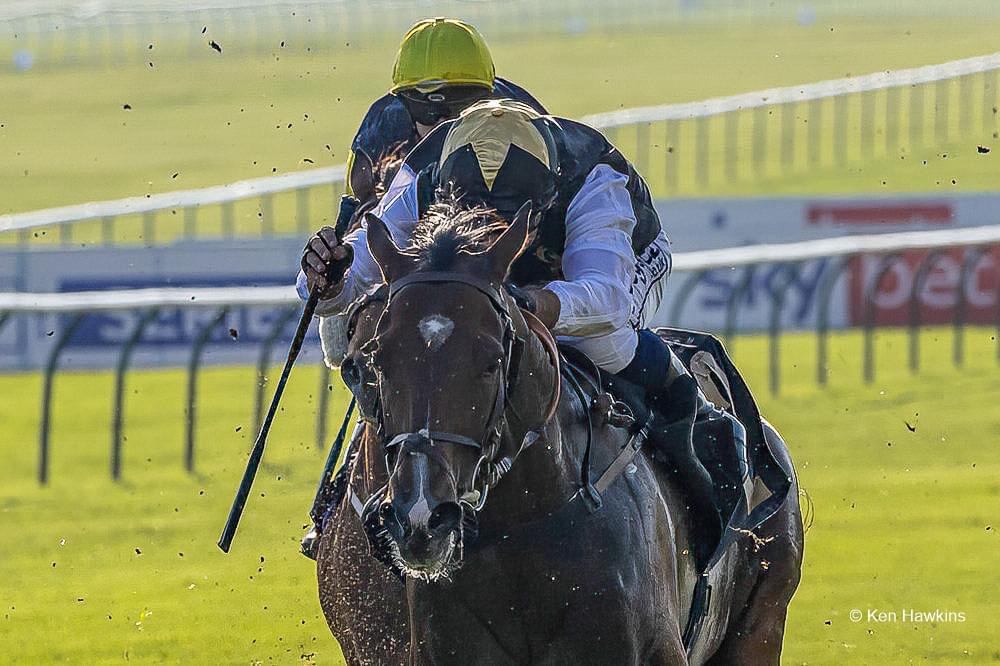 A bright start for Lir Speciale