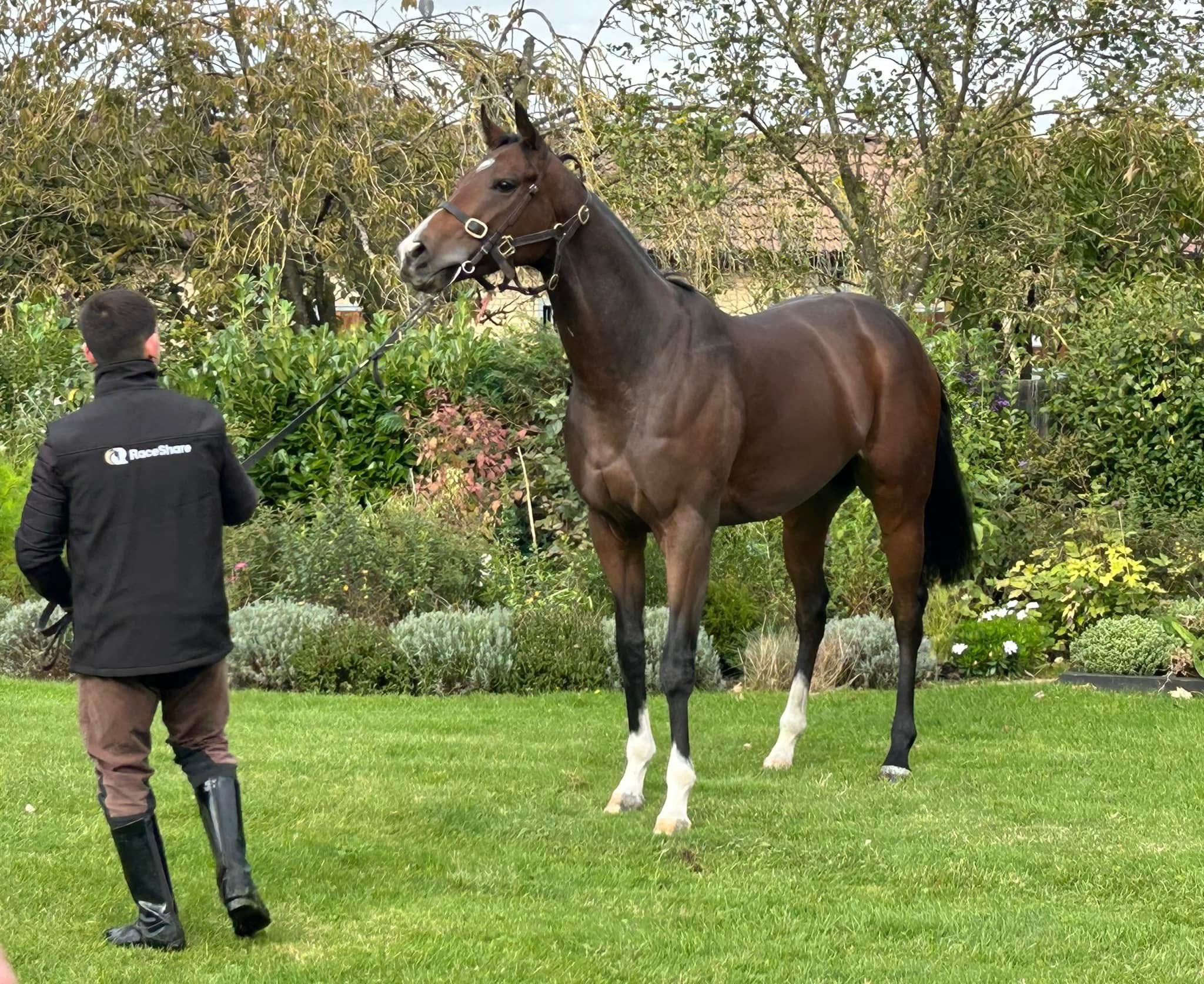 A Bumper Week of RaceShare Runners!