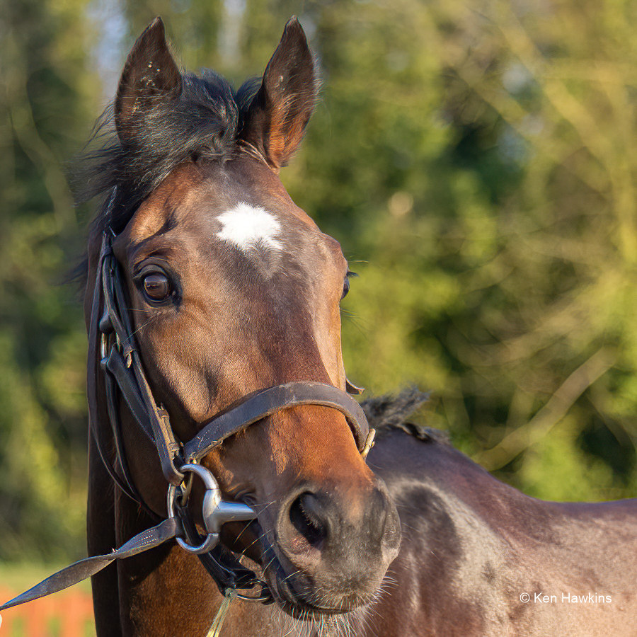 A busy 15 minutes for RaceShare owners!