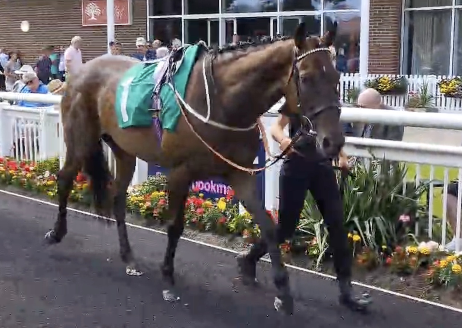 A busy 15 minutes for RaceShare owners!