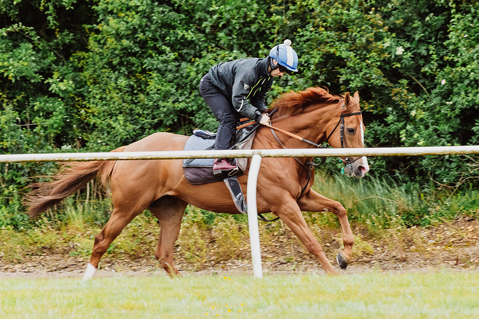 A busy week for RaceShare runners