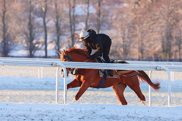 A busy week leading up to Easter