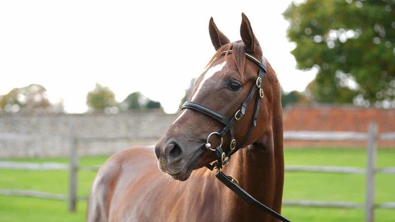 A Christmas gift with a lasting legacy?