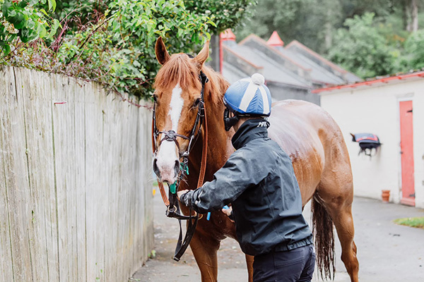 A double of runners today as Criminal Shore and Red Mirage are next out