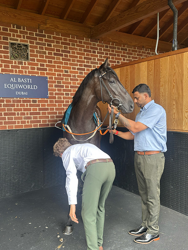 A double of runners today as Criminal Shore and Red Mirage are next out