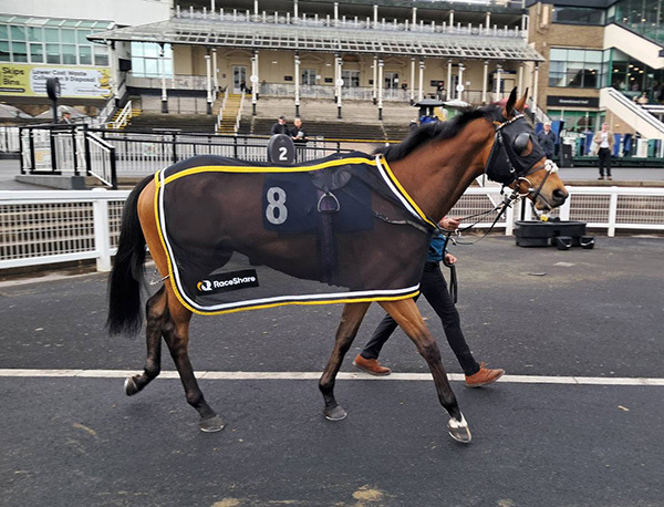 A first for RaceShare this week as Criminal Shore and Red Mirage went head-to-head at Newcastle