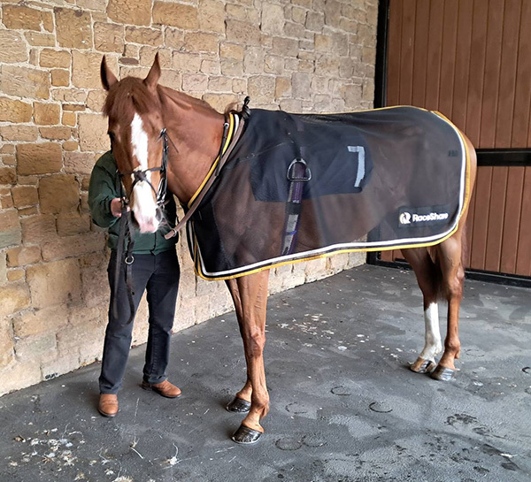 A first for RaceShare this week as Criminal Shore and Red Mirage went head-to-head at Newcastle