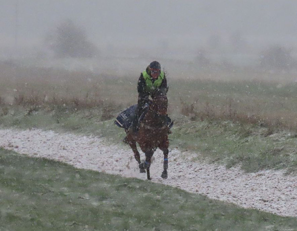 All-weather team in full flow