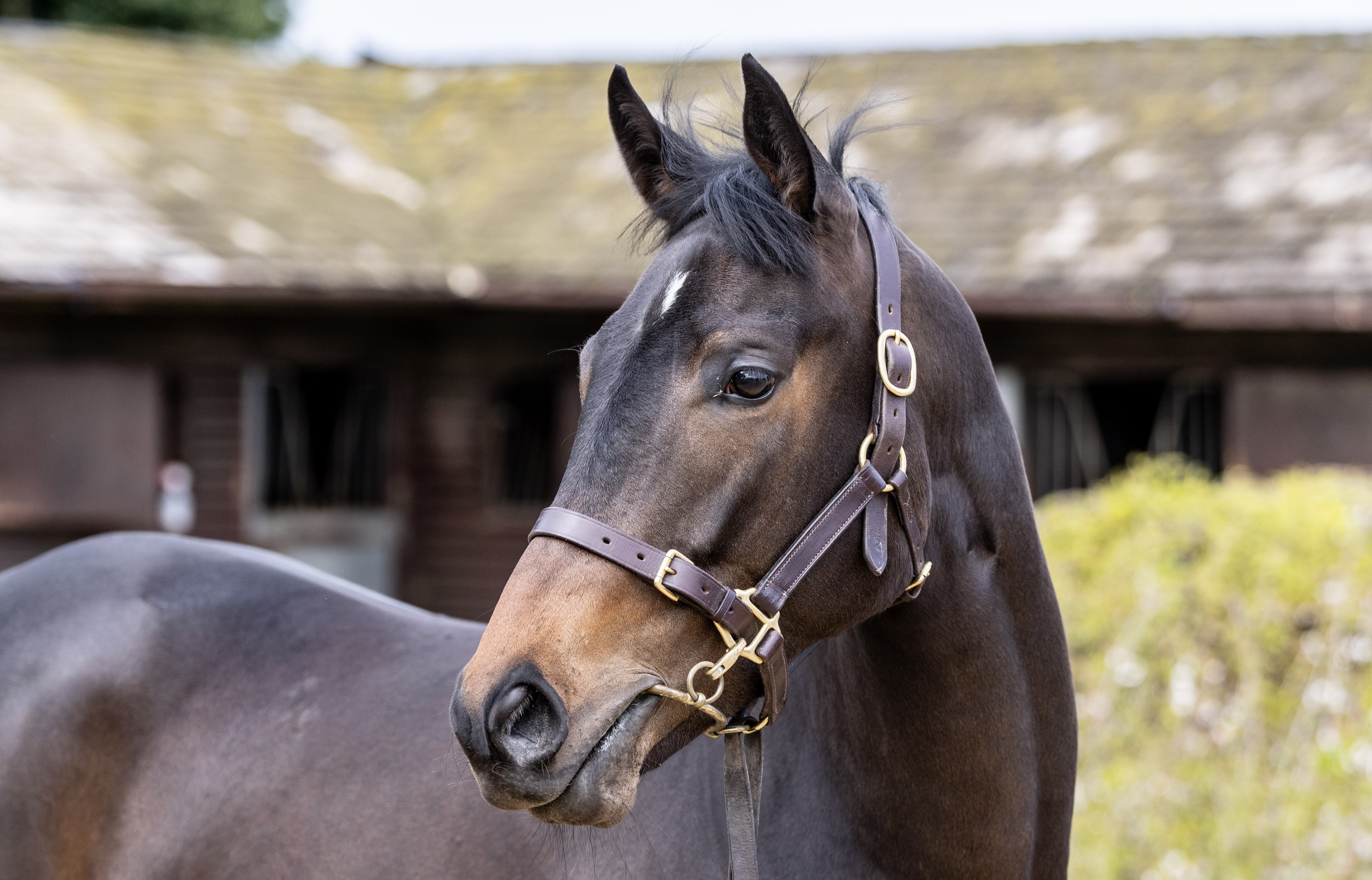 An exciting weekend to look forward to!