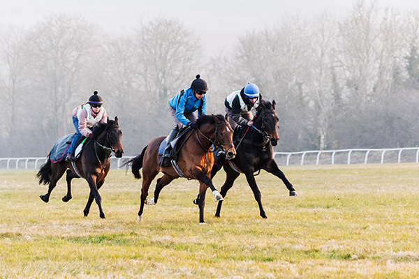 Ann Terry and Buccabay Set to Star at Thirsk and Doncaster