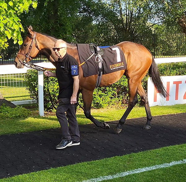 Ann Terry and Buccabay Set to Star at Thirsk and Doncaster