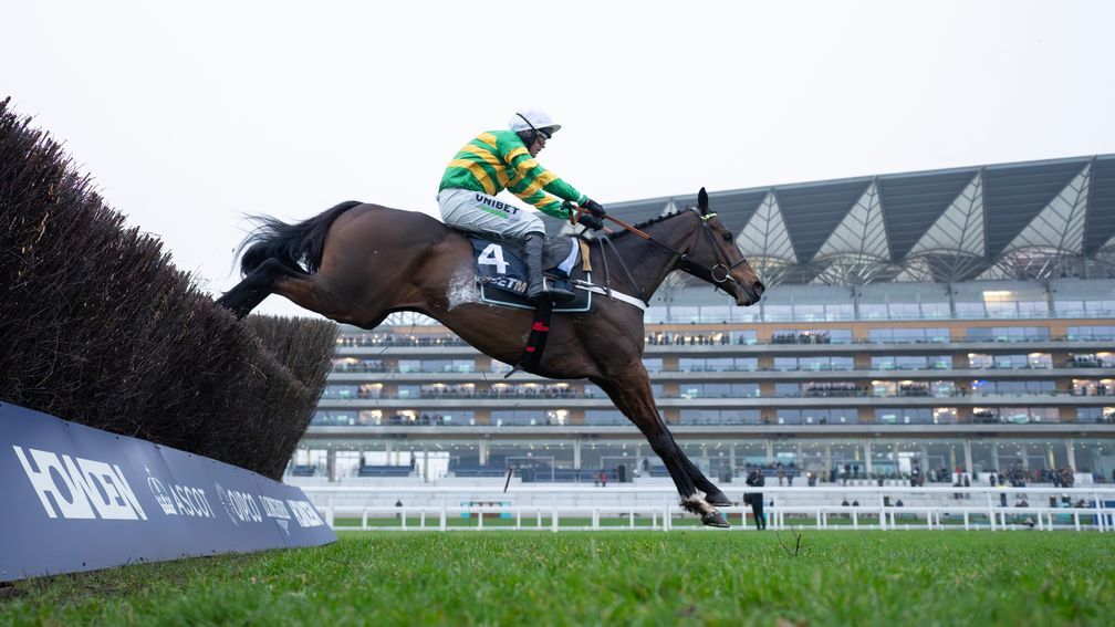 Ascot’s Long Walk Hurdle Promises Festive Thrills