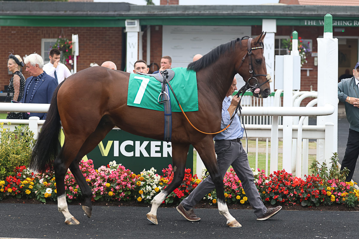 Big week in progress!