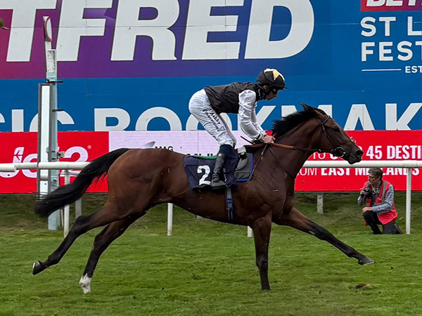 Binhareer Heads 25-Runner Charge for the Ayr Gold Cup