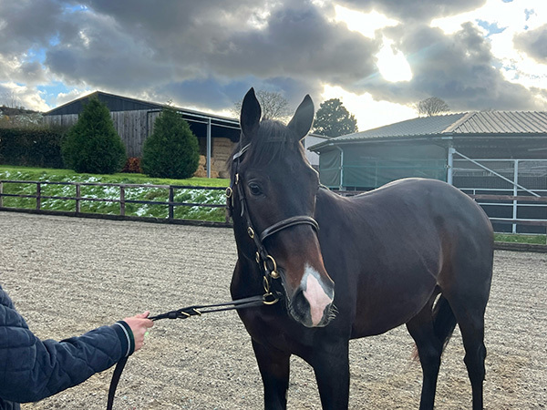 Breathe Easy Set for Much-Anticipated Debut at Kempton