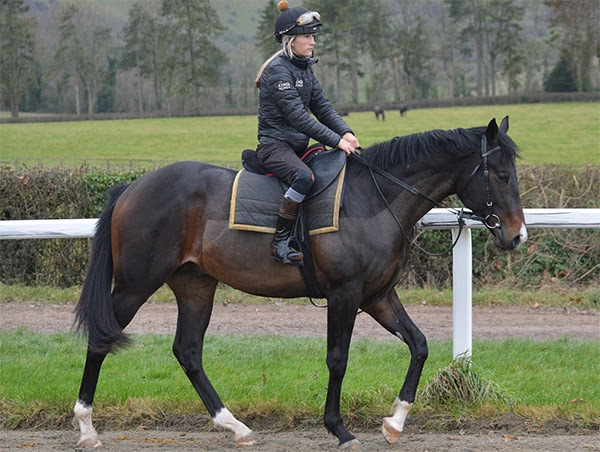 Breathe Easy wins a Kempton maiden