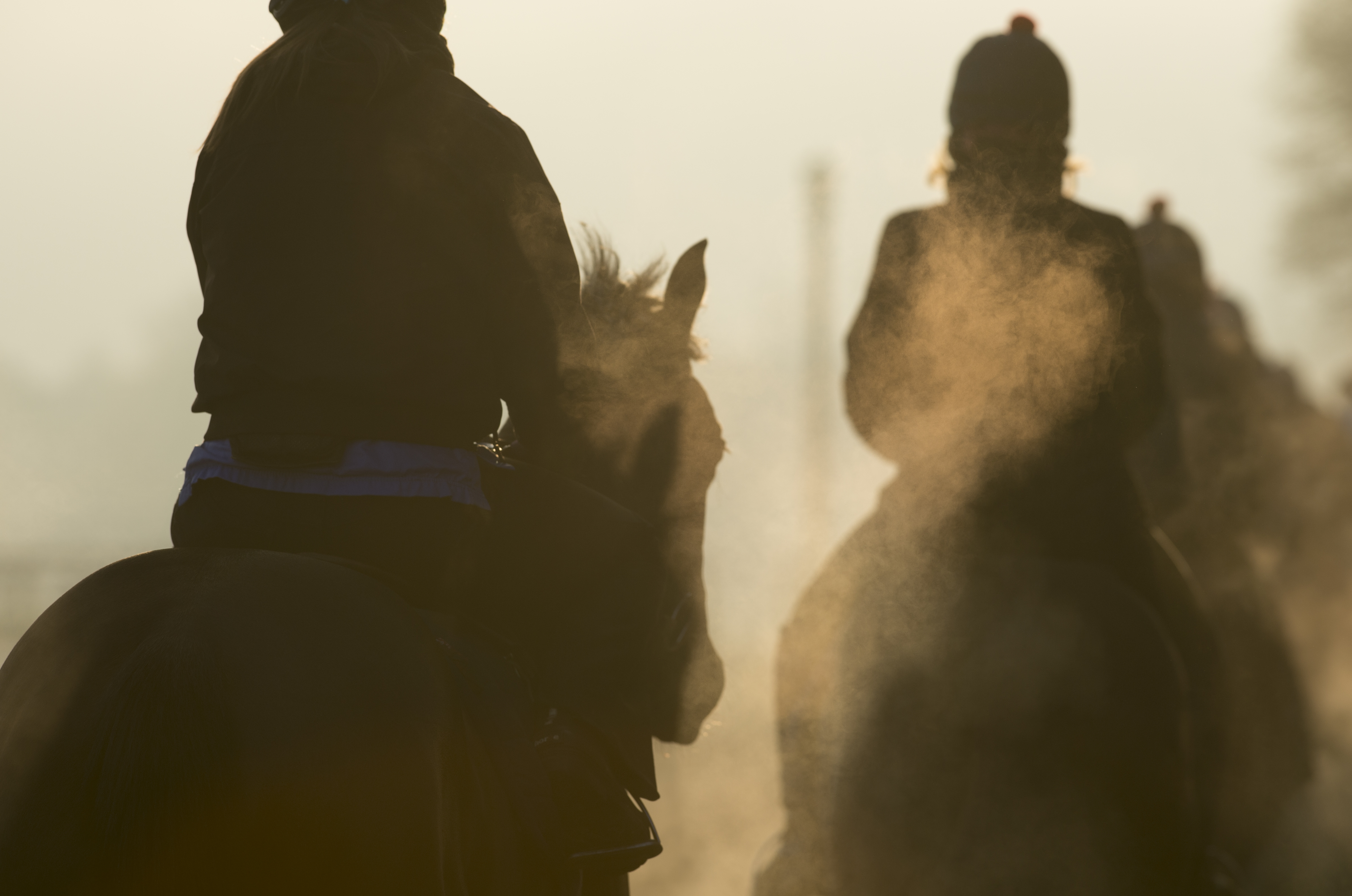 Breeders’ Cup 2025 at Del Mar: Britain and Ireland’s Class Acts Amid a Truly Global Showcase