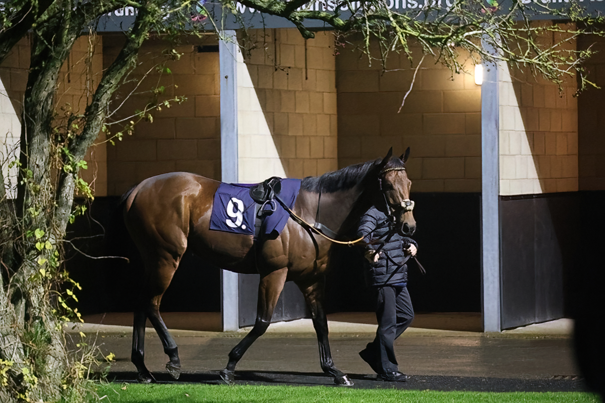 Buccabay bids to follow up at Kempton