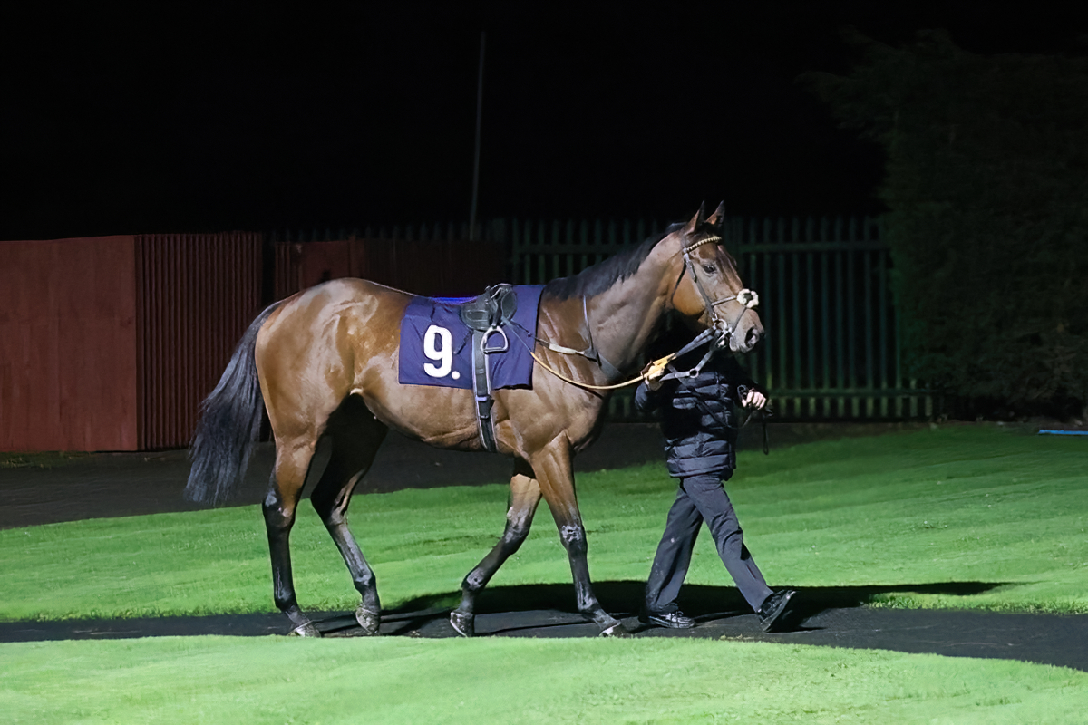 Buccabay bids to follow up at Kempton