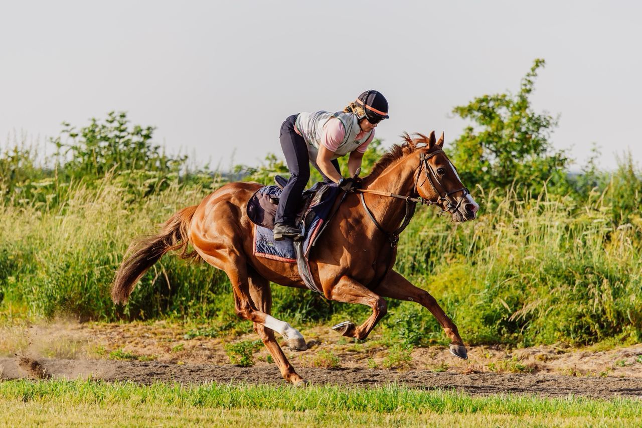Buccabay impresses, plus Undiscovered has a Group 2 target in his sights