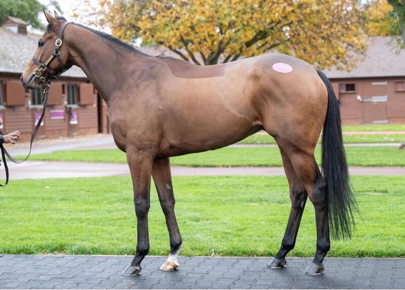 Bumper weekend ahead