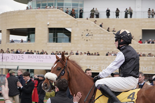 Cheltenham 2026: the Festival’s defining contenders