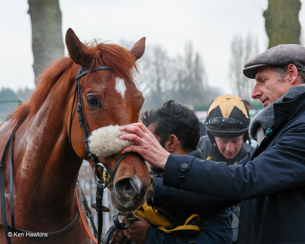 Cheltenham Festival week is here - Gibbs Island runs on Friday