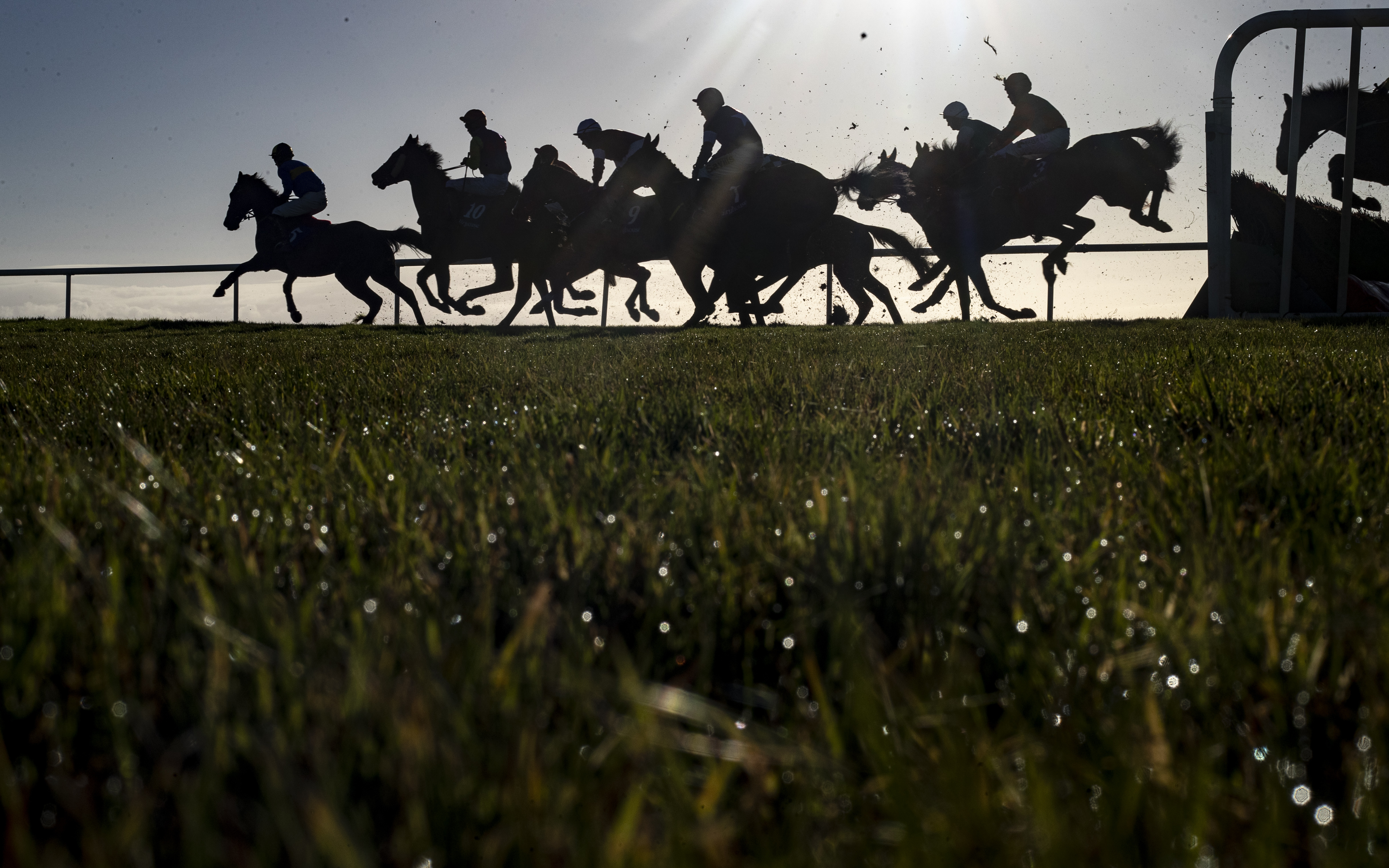 Constitution Hill turns away from Cheltenham - and towards a second career on the Flat