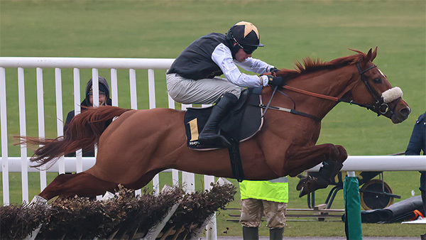 Coral Gold Cup 2025 — Runner-by-Runner Guide