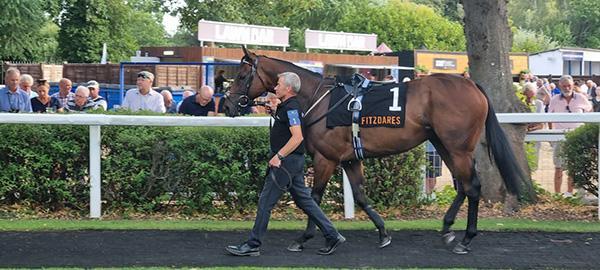 Criminal Shore heads to Haydock as weekend plans take shape