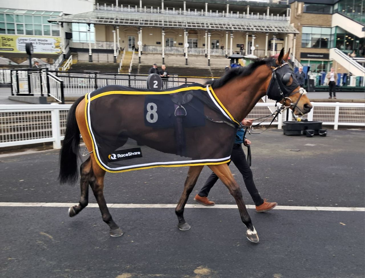 Criminal Shore heads to Haydock as weekend plans take shape