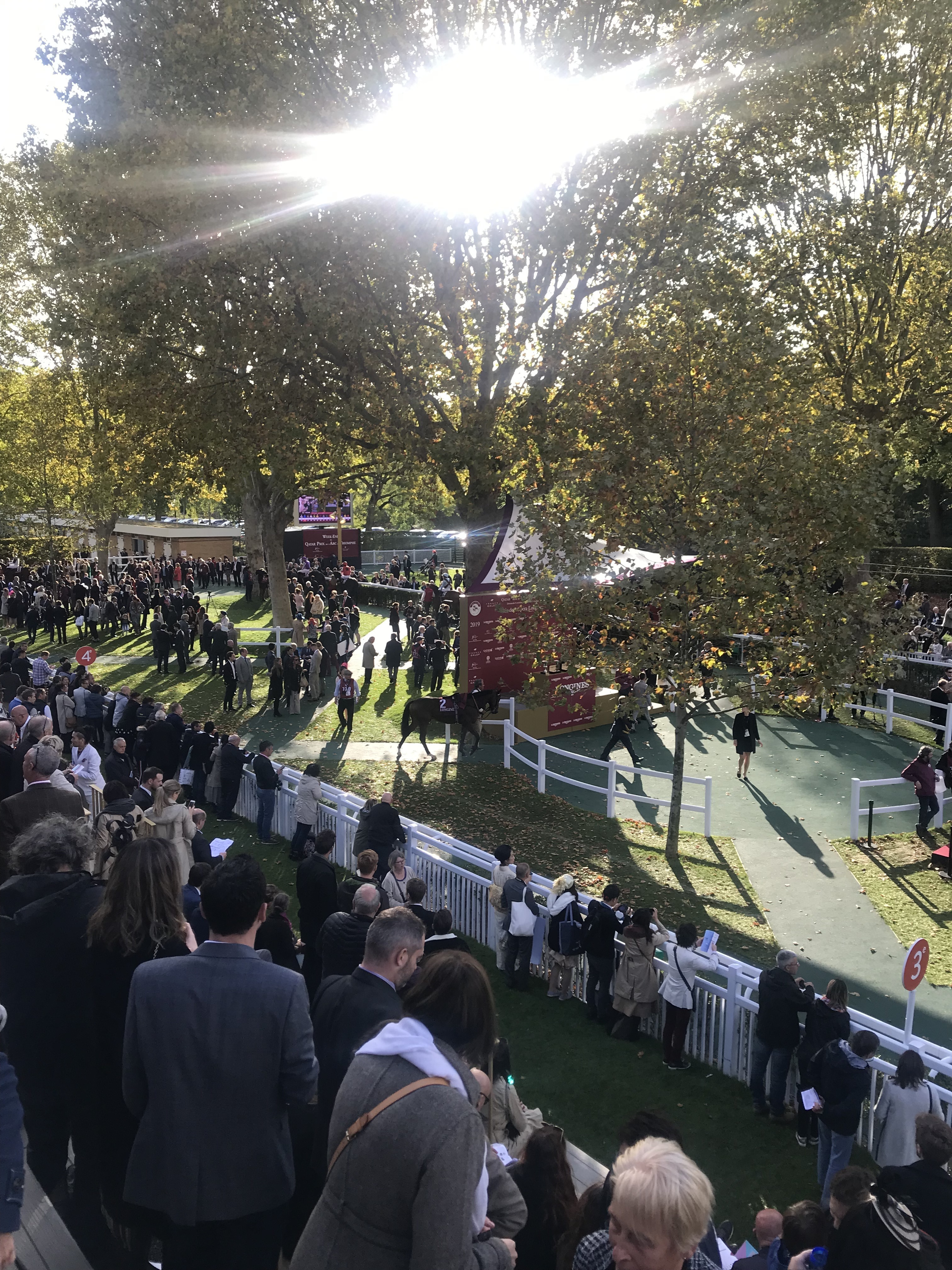 Daryz Bids for Historic Arc Double as Europe's Best Descend on Longchamp