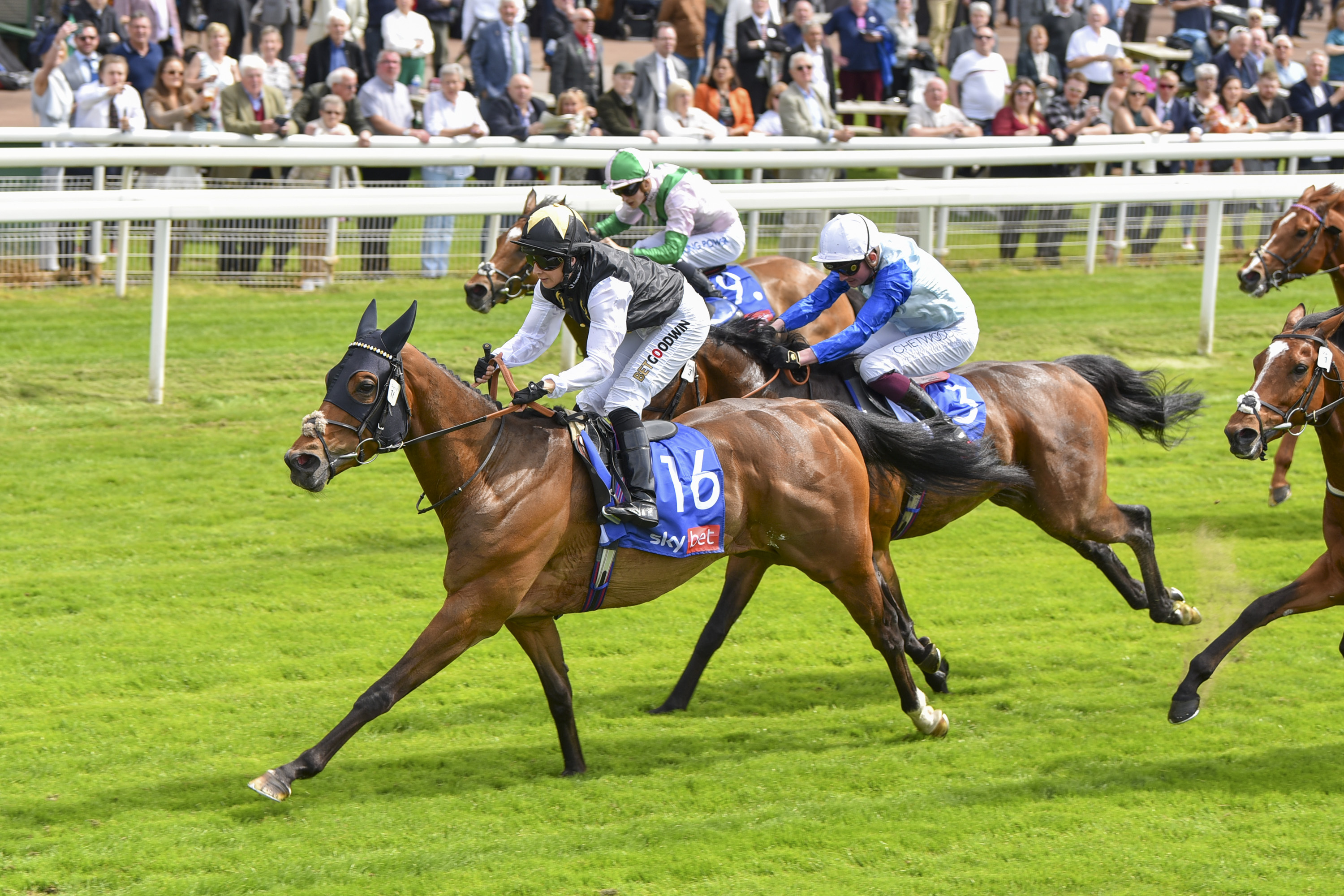 Ebor Handicap 2026: York's Great Staying Puzzle